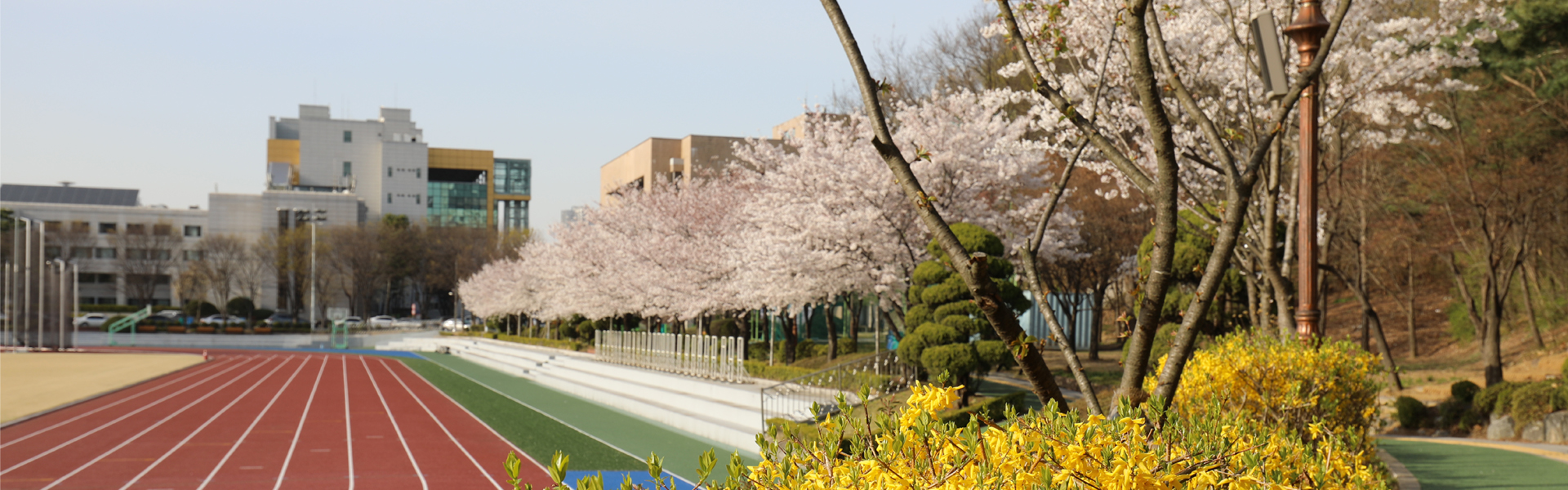 �ѱ�ü�����б� ��������ȸ